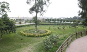 Lima Verde Web