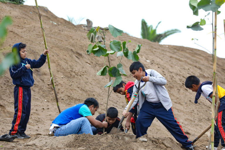 Día Mundial del Ambiente: escolares sembraron árboles en Bosque Educativo Municipal del Sur