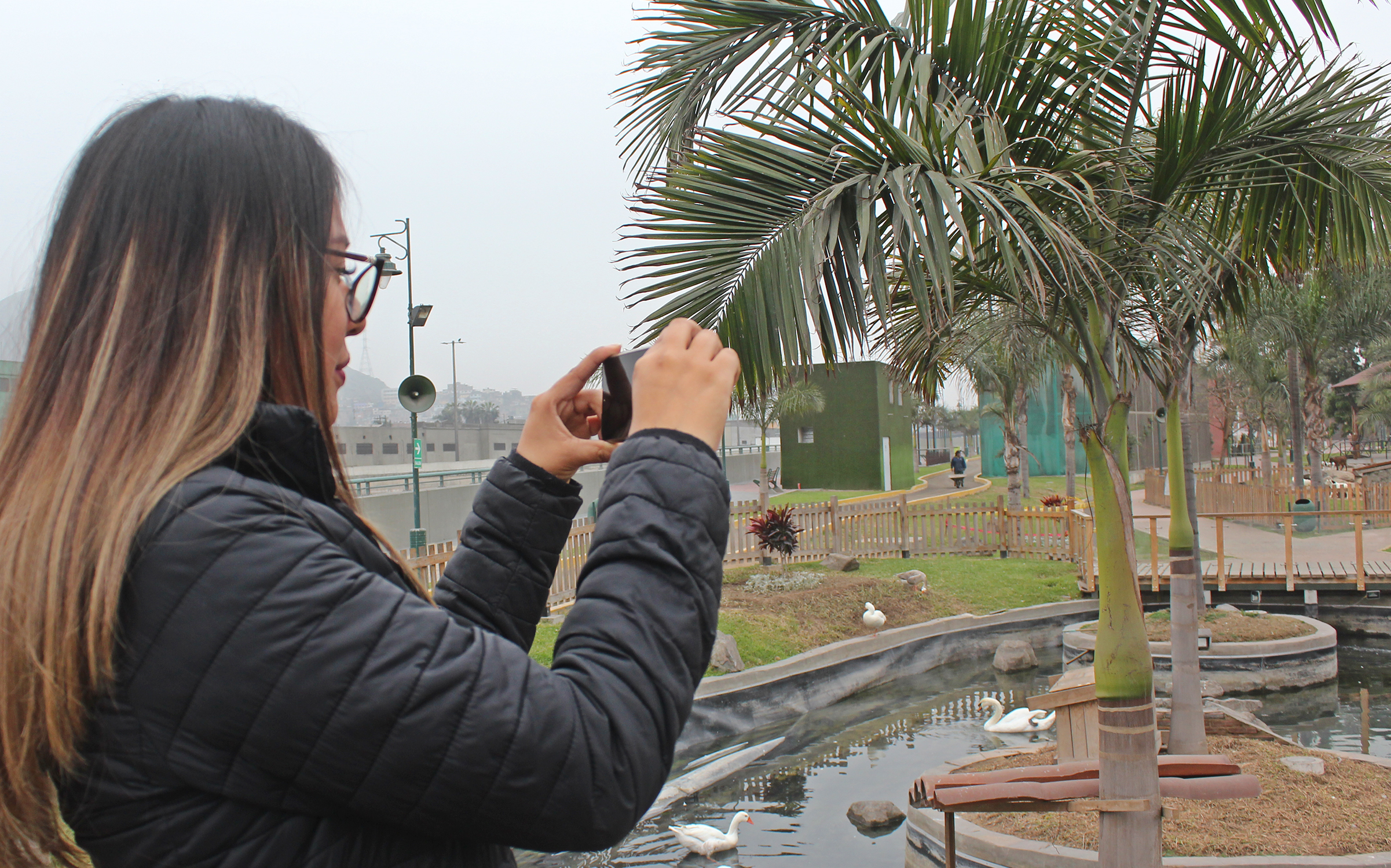 Concurso de fotografia Parque La Muralla