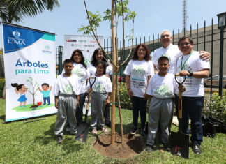 Árboles para Lima: Plantación en parque La Muralla Plantación de árboles en parque La Muralla