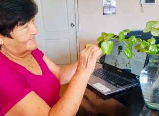 Actividades deportivas y culturales virtuales para realizar durante la cuarentena Cuidado de plantas