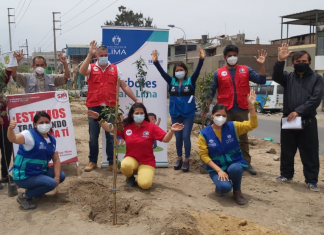 Árboles para Lima: Serpar plantó 600 árboles en San Juan de Miraflores Plantación de 600 árboles en SJM
