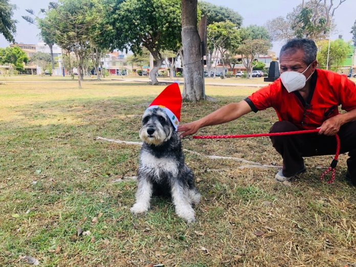 Navidad entre patitas