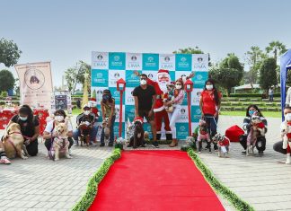 Conoce a los ganadores del concurso “Navidad entre patitas”