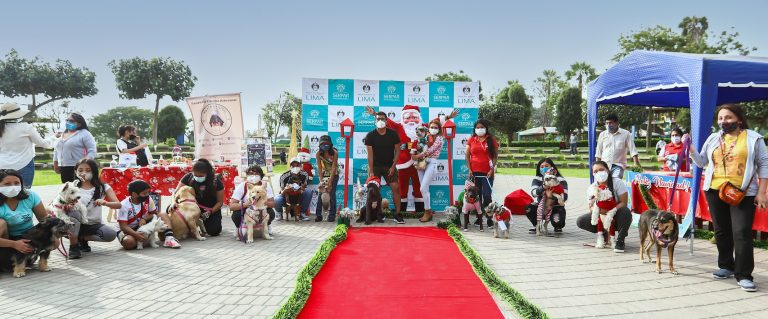 Conoce a los ganadores del concurso “Navidad entre patitas”