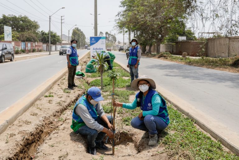 Serpar plantó más de 350 árboles en varios distritos  esta semana