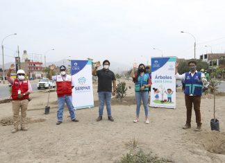 Serpar participó en plantación de 160 árboles en Av. Canta Callao