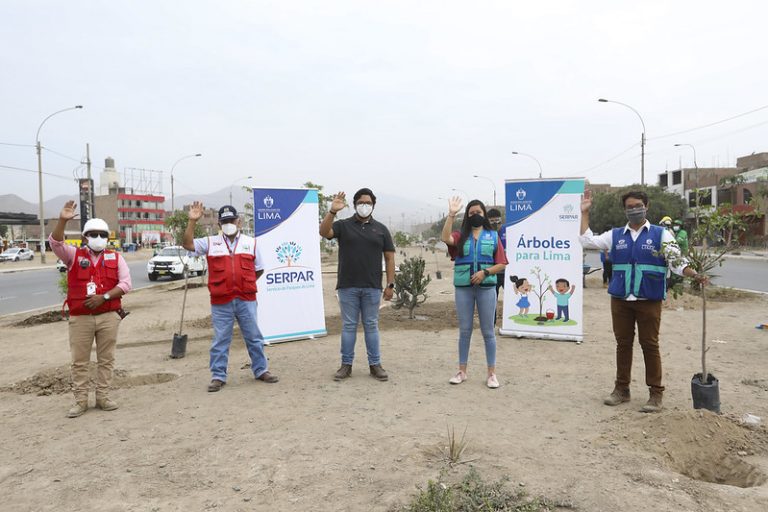 Serpar participó en plantación de 160 árboles en Av. Canta Callao