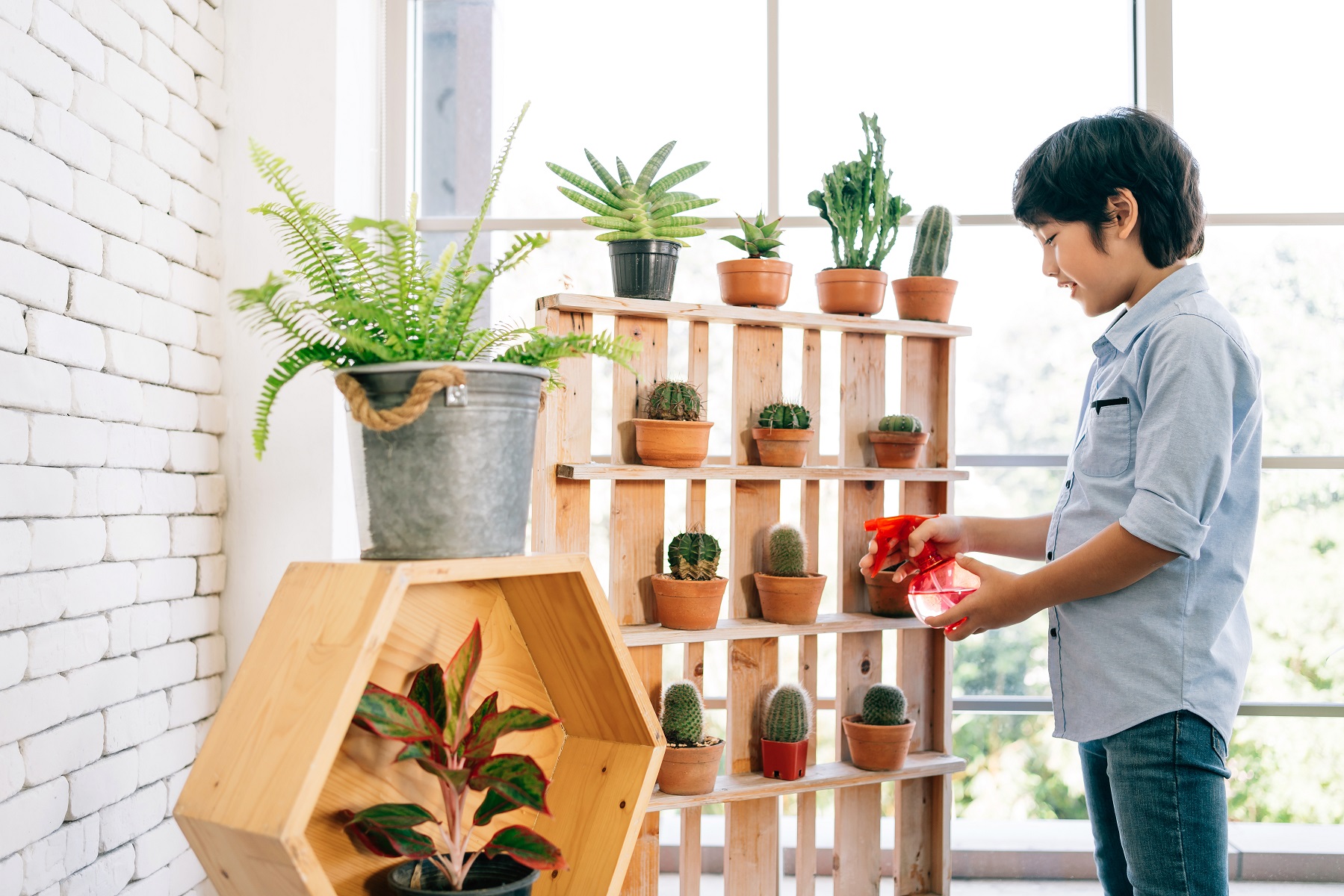 10 cosas que debes sobre el de plantas SERPAR - Servicio de Parques de