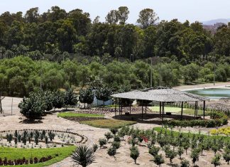 Día Internacional de los Bosques: conoce el pulmón verde del sur que administra la MML Bosque Educativo Municipal del Sur