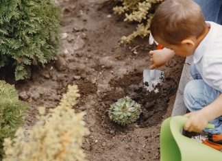Día de la Tierra: Conoce las actividades virtuales que ofrecerá Serpar