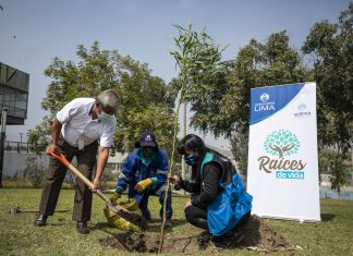 Raíces de Vida: Planta un árbol en memoria de un ser querido y otros motivos especiales