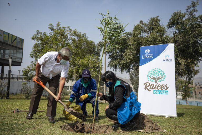 Raíces de Vida: Planta un árbol en memoria de un ser querido y otros motivos especiales