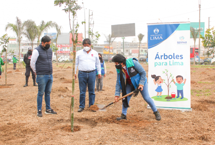 Más de 200 árboles plantados en el óvalo Arriola