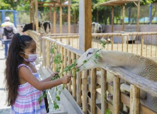 Fin de semana largo: Niños ingresarán gratis a clubes zonales este 29 y 30 de agosto