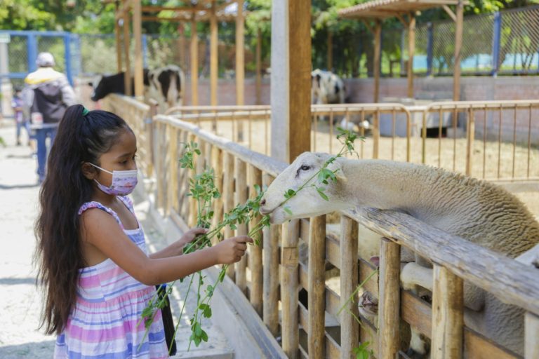 Fin de semana largo: Niños ingresarán gratis a clubes zonales este 29 y 30 de agosto