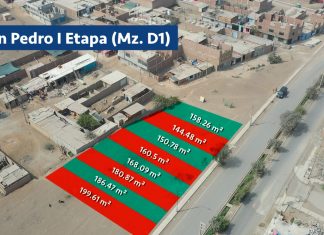 ¡Atención! Serpar subastará 25 terrenos en Carabayllo Subasta será el 21 de agosto