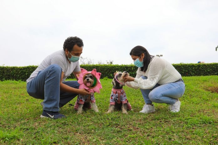 Concurso canino Patitas en primavera