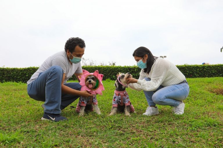 Festival canino: Coronarán a la reina y el rey de la primavera en club zonal Sinchi Roca