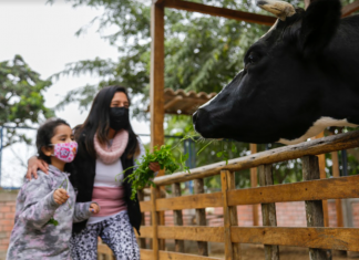 Visita junto a tu familia las granjitas de los clubes zonales Minigranjas en los clubes zonales
