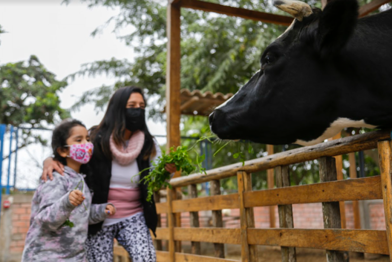 Visita junto a tu familia las granjitas de los clubes zonales