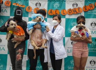 Serpar: Choper, Preciosa y Chiquita ocuparon los primeros puestos en el concurso Canoween Criollo