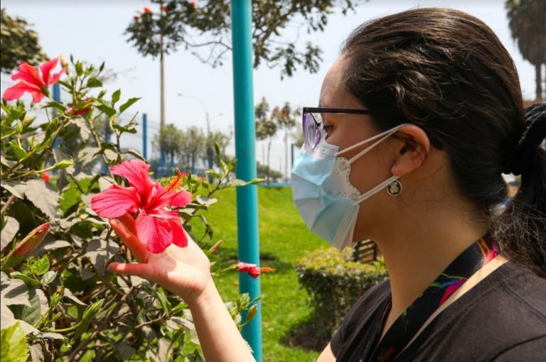 Flores de primavera: Conoce las plantas que puedes tener en casa