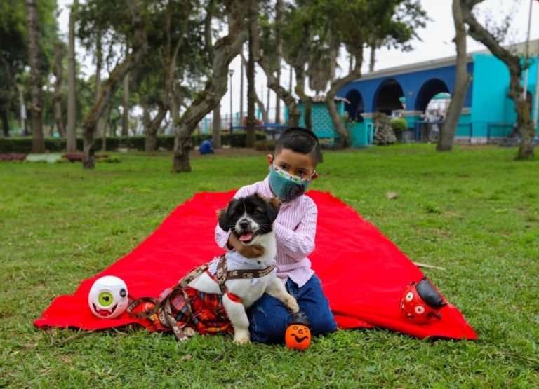 Canoween Criollo: Perritos lucirán sus mejores disfraces en el club zonal Huáscar