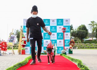 Patitas en Navidad: desfila junto a tu perrito en el club zonal Huayna Cápac Desfile canino navideño en el club zonal Huayna Cápac