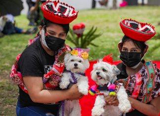 Matrican: perritos sellaron su amor en el club zonal Huiracocha Primer matrimonio canino