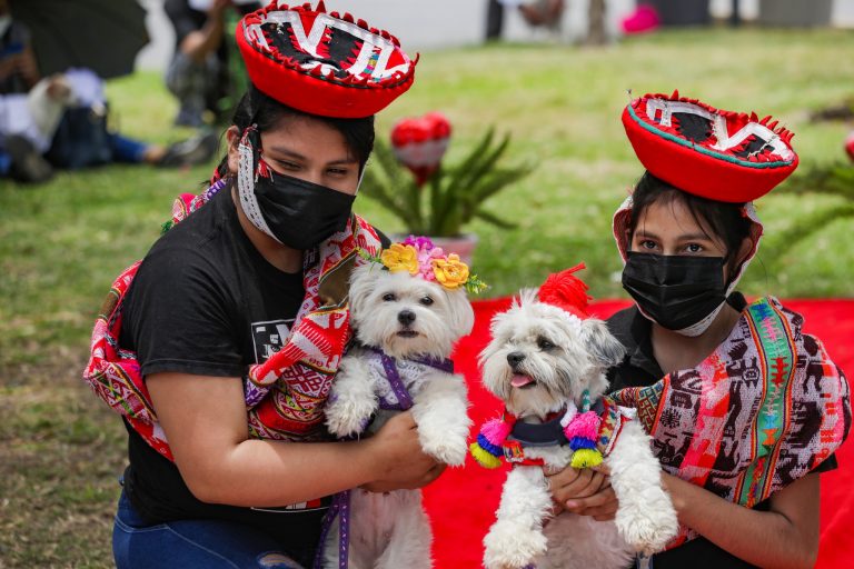 Matrican: perritos sellaron su amor en el club zonal Huiracocha