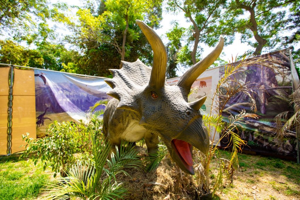 Visita la exhibición de dinosaurios a escala real en nuestro club zonal  Sinchi Roca | SERPAR - Servicio de Parques de Lima