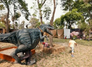 Visita la exhibición de dinosaurios a escala real en nuestro club zonal Sinchi Roca Mundo jurásico en el club zonal Sinchi Roca