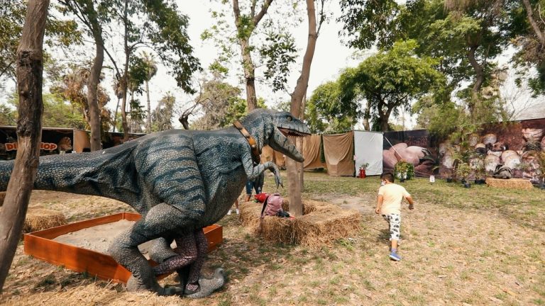 Visita la exhibición de dinosaurios a escala real en nuestro club zonal Sinchi Roca