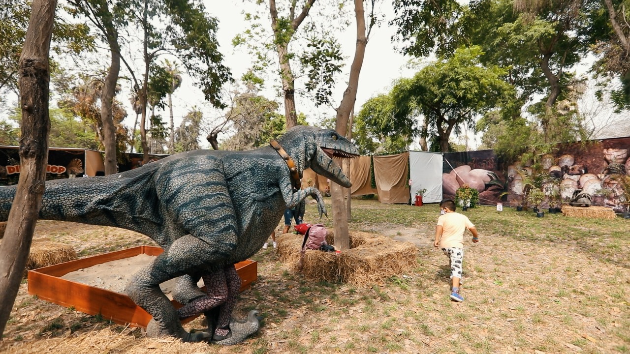 Visita la exhibición de dinosaurios a escala real en nuestro club zonal  Sinchi Roca | SERPAR - Servicio de Parques de Lima