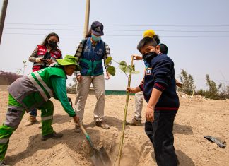 Serpar y Ate realizaron plantación por el Día del Árbol