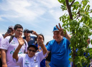 Alcalde de Lima Rafael López Aliaga lanzó programa de arborización “Lima Verde” en VMT Alcalde Rafael López Aliaga plantó primer árbol del programa "Lima Verde"