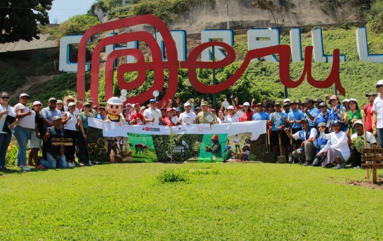 Programa de arborización “Lima Verde” realizó maratónica plantación en seis distritos de la capital