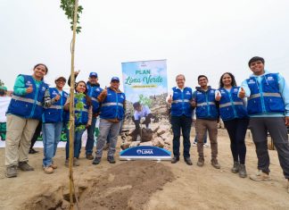 Serpar entregó 3 mil árboles para Cruzada Verde y Perú Limpio en Manchay Serpar entregó 3 mil árboles para plantar en Cruzada Verde