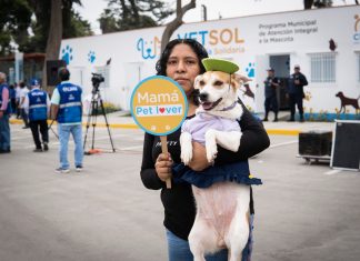 Inauguran primera veterinaria solidaria en el club metropolitano Sinchi Roca Primera veterinaria solidaria club metropolitano Sinchi Roca