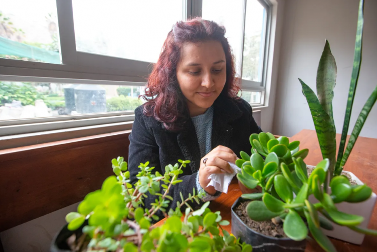 Consejos y recomendaciones para cuidar tus plantas en el invierno