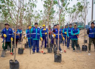 Serpar plantó 500 árboles en tramo de la autopista Ramiro Prialé Áreas Verdes plantó 500 árboles
