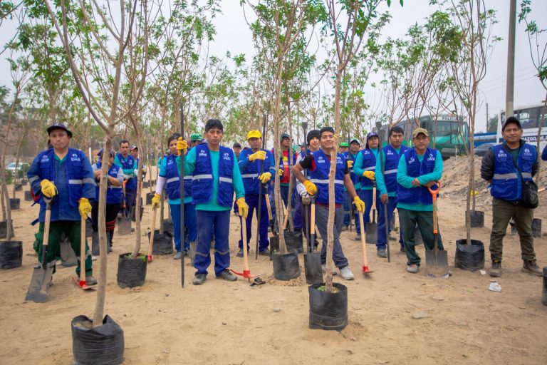 Serpar plantó 500 árboles en tramo de la autopista Ramiro Prialé