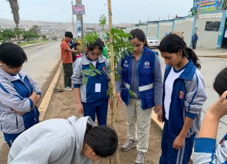 Serpar realizó y participó de diversas actividades por el Día del Árbol Plantaciones, visitas guiadas y charlas informativas