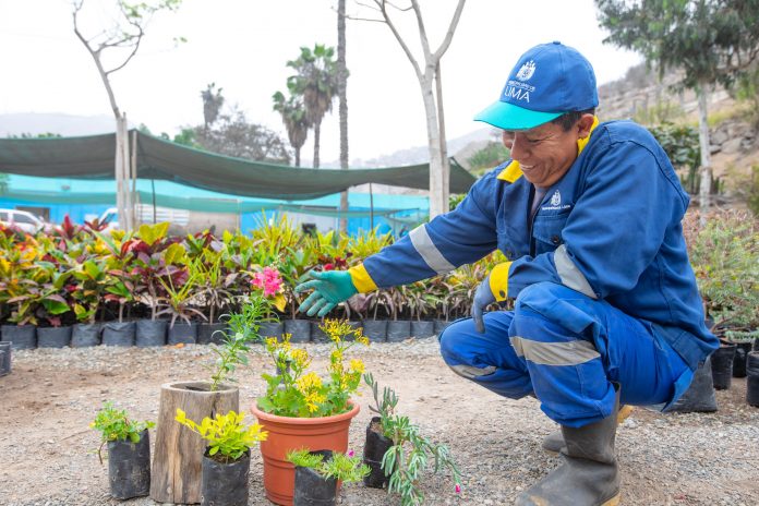 Serpar ofrece una variedad de plantas primaverales