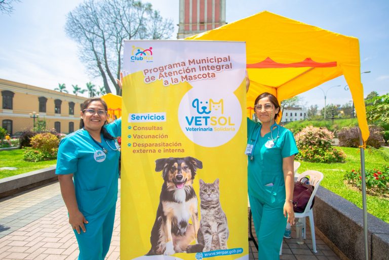 Adoptan y apadrinan gatitos en Michi Feria del Parque Universitario