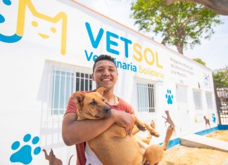 Vet Sol Sinchi Roca realiza campaña de vacunación felina y canina gratuita Campaña gratuita para mascotas
