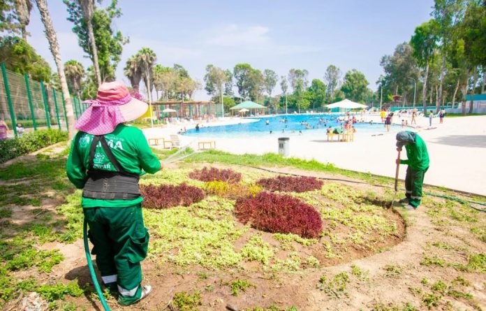 Recuperación de áreas verdes en piscinas