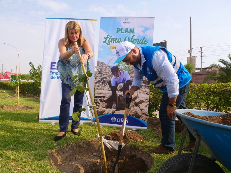 SERPAR y EMMSA realizan plantación en el Gran Mercado Mayorista de Lima