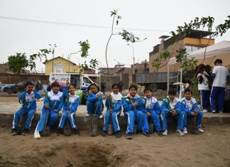 Día Mundial del Medio Ambiente: Serpar plantó más de 2,000 árboles del programa “Lima Verde”
